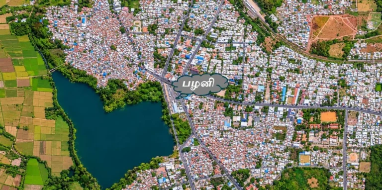 Scenic view of Palani town.