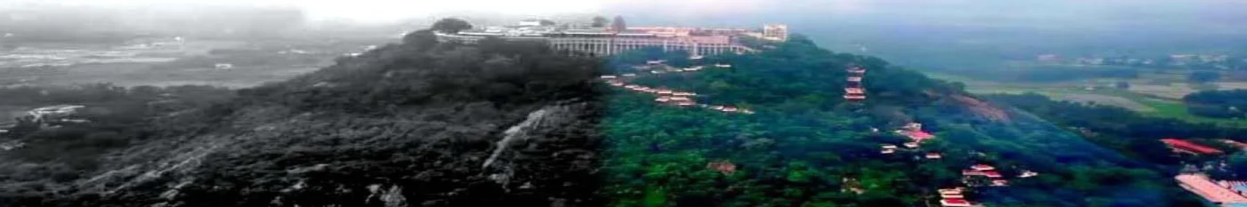 Palani Murugan Temple | palani | palani city