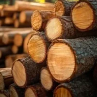 Wood and timber stores in Palani | plywood suppliers in Palani | Trusted wood and timber stores in Palani |